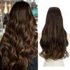 Dark Brown / Golden Blonde