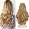 Honey Blonde / Bleach Blonde