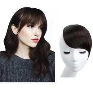 SARLA Side Hair Bangs Clip in Off Black One Piece Straight Synthetic Bangs Extension for Women(Black Brown)
