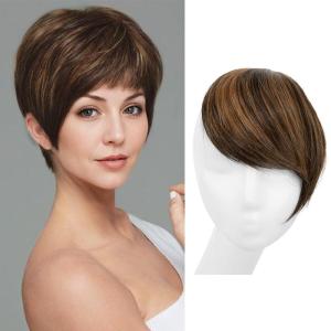 SARLA Side Hair Bangs Clip in Off Black One Piece Straight Synthetic Bangs Extension for Women(Chestnut)